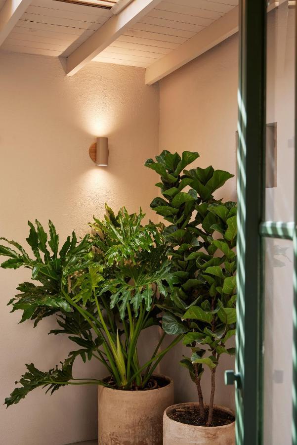 Antipoda Hotel Boutique Medellín Exteriör bild